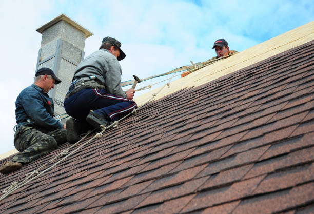Quick and Trustworthy Emergency Roof Repair Services in Mcsherrystown, PA